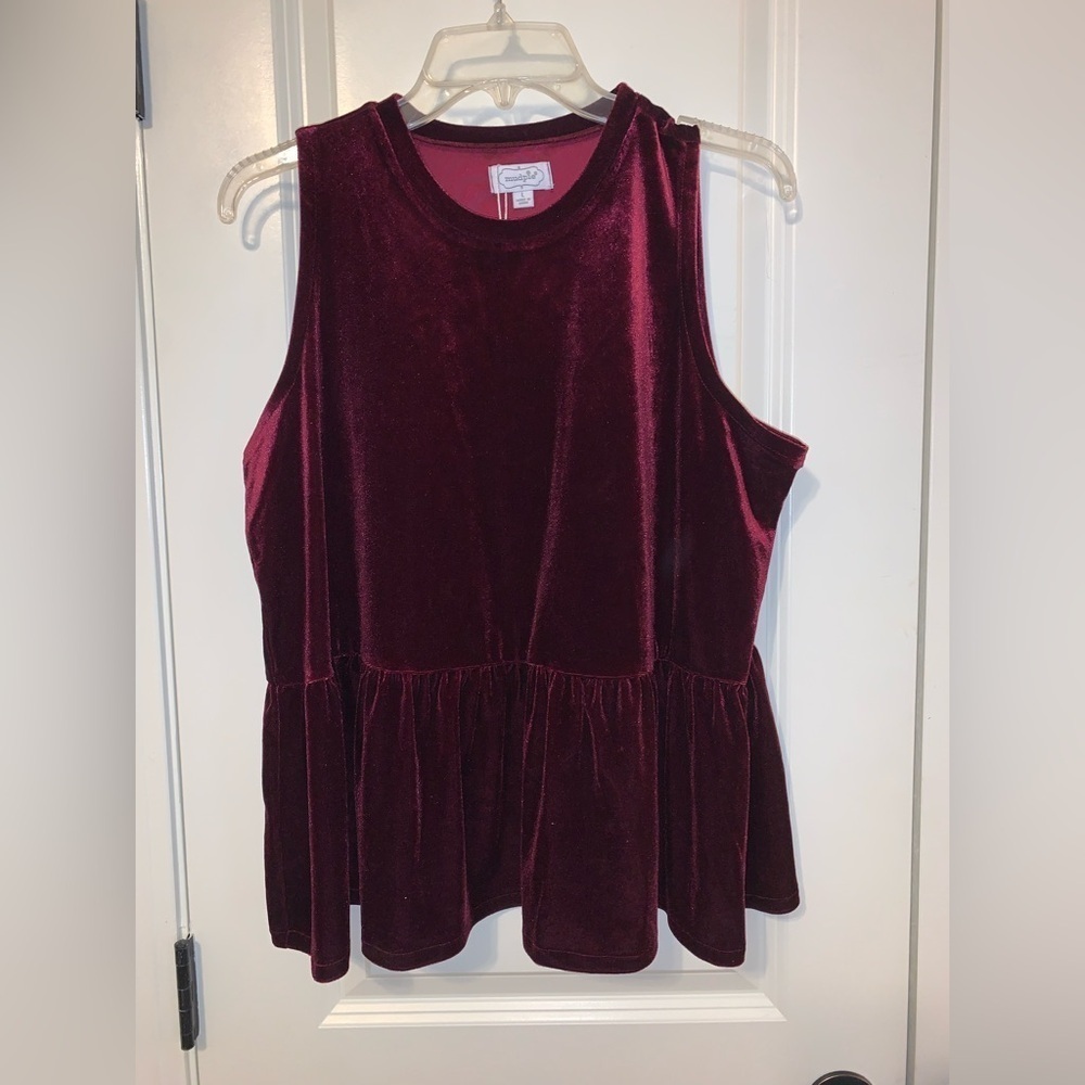 Velvet Sleeveless Mudpie Top NWOT